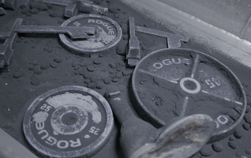 Rogue deep store dish plates